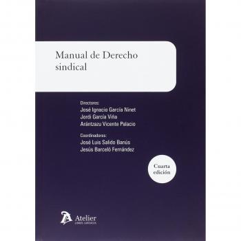 Manual de derecho sindical: 4ª edicion