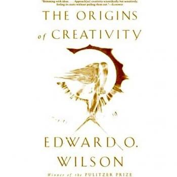 The Origins of Creativity (Paperback)