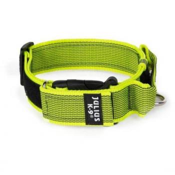 Julius-K9 Collar Color & Gray con Asa Amarillo 49-70cm x 50mm