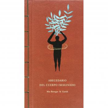 Abecedario Del Cuerpo Imaginado: 27 haikus