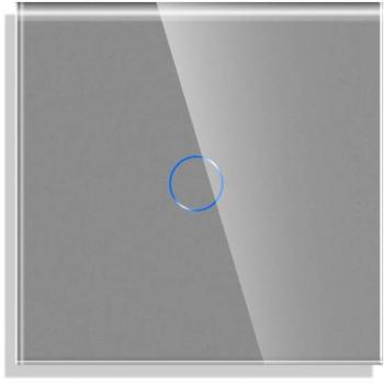 Frontal cristal gris KOOB 1 botón 1 módulo