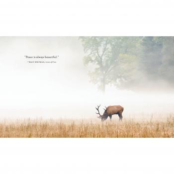 Invitation to Dream, An