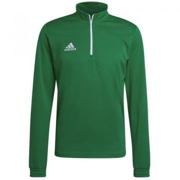 Sudadera Adidas Entrada 22 Training Hombre Verde