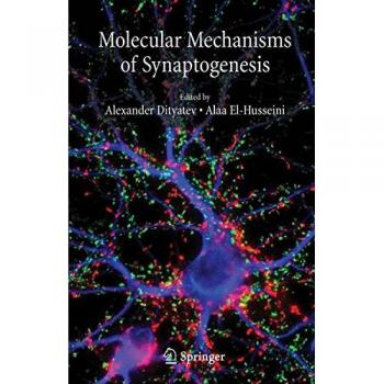 Molecular Mechanisms of Synaptogenesis