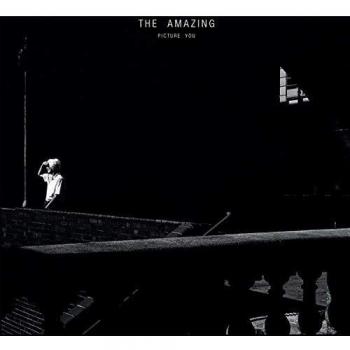 Picture You [Vinilo]