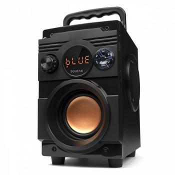 SQUEAK Portable Bluetooth Speaker SQ1001 - 20W BassBlaster with FM Radio and MP3 Player