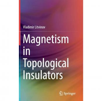 Magnetism in Topological Insulators