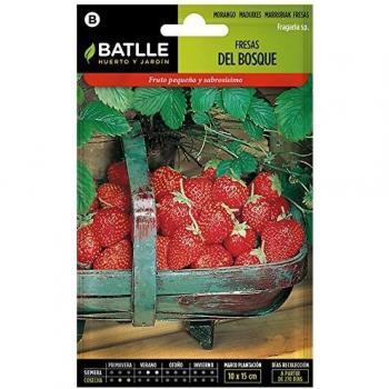 Semillas Hortícolas - Fresas del Bosque - Batlle