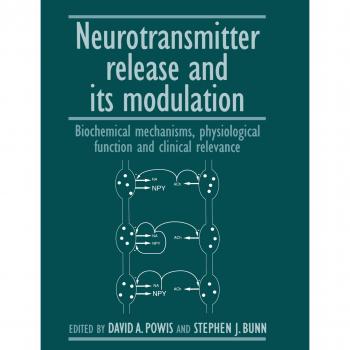 Liberación y Modulación de Neurotransmisores: Mecanismos Bioquímicos, Función Fisiológica y Relevancia Clínica