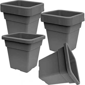 Master MAX.032.CB.TO 12pcs Gris