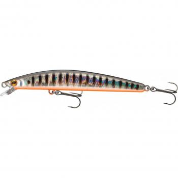 Minnow Suspendido Daiwa Tournament 120SP 12cm Aurora Zebra 14.5g