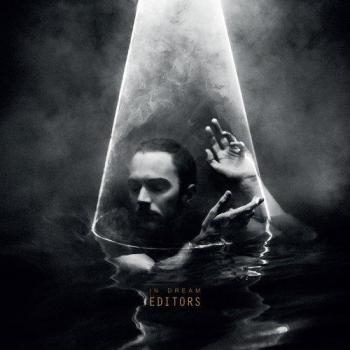 Editors IN DREAM vinyl