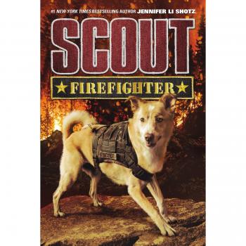 Scout: Firefighter: 2