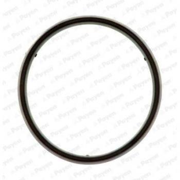 PAYEN Junta de tapa de balancines para MERCEDES-BENZ Classe E, Classe C, Classe S, Classe G (Ref: JM5157)