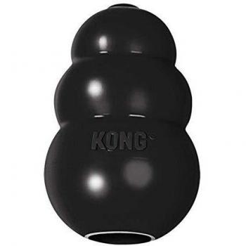 KONG Extreme Dog Toy, Small