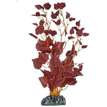 ICA AP1163 Hygrofila de Aquatic Plants Seda