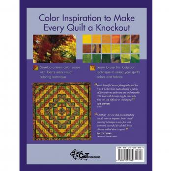 Visual Coloring: A Comprehensive Guide to Vibrant Quilts - Print on Demand Edition
