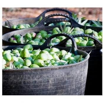Mini Compresor de Aire 12V Ratio 150 PSI