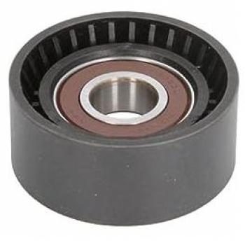 Polea tensora y brazo tensor para correa poli V BTA E2C0003BTA