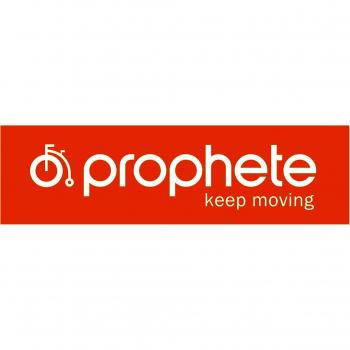 Prophete 6711 - Cubierta para bicicleta de paseo