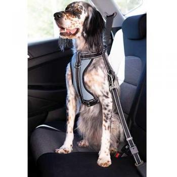 Arnés coche con cinturón de seguridad Ibáñez Dogway TALLA S