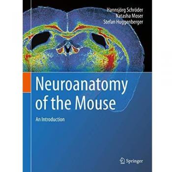 Neuroanatomy of the Mouse: An Introduction