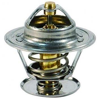 FAE 5307087 Termostato, Refrigerante
