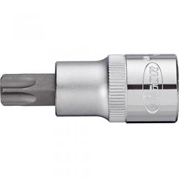 Enchufe VIGOR V2200