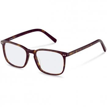 Rodenstock R5357 C 54 Lentes Recetadas para Hombre Tortoiseshell y Careyshell