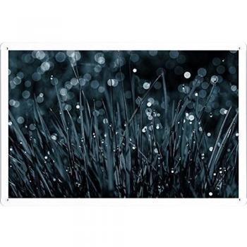 Metal cartel Cartel de chapa Hojalata sesión Grass Drops Dew Macro Black-And-White 45525 Retro Vintage Pared Decoración by hamgaacaan
