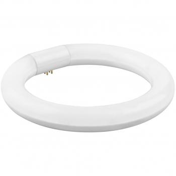 Tubo Fluorescente Led Circular T-9 40cm Luz Fria 32w Matel