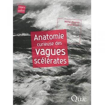 Anatomía Curiosa de las Olas Escalofriantes - Michel Olagnon