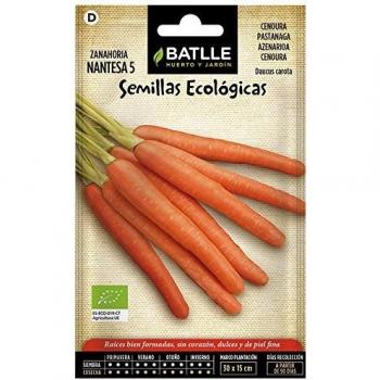 Semillas ecológicas de Zanahoria nantesa 5