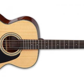 Takamine GN30NAT Natural Acoustic Guitar - NEX Body Shape with Solid Spruce Top