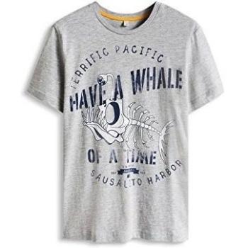ESPRIT Have a Whale TS-Camiseta Niñas    Grau