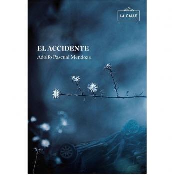 El accidente - Pascual Mendoza, Adolfo