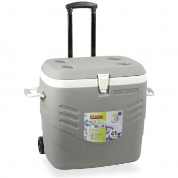 Nevera rígida premium 41l. gris hidalgo