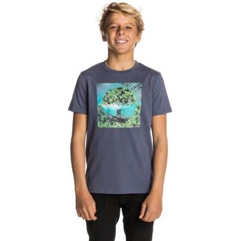 RIP CURL Buen día – los niños de Manga Corta Camiseta, Infantil, KTELL4, Blue Indigo, Talla 14