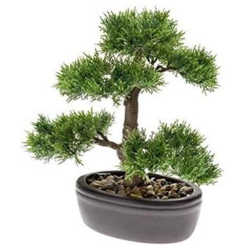 Esmeralda Bonsai Cedro Artificial Verde 32 cm Planta Miniatura Maceta