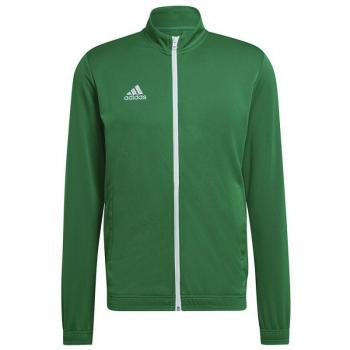 Pantalones de fútbol adidas entrada 22 M Green