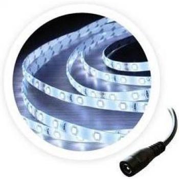Tira LED Evolución 5M 6W/M 6000-6500K 24V