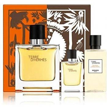 Hermès Terre d'Hermès Eau de Parfum Gift Set (75ml + 5ml + Shower Gel 40ml)
