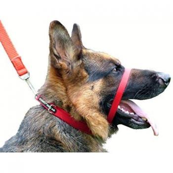 Canny Collar: Collar de Perro Entrenamiento y Collar Antitirones para Perros Grandes o Pequeños, ayuda simple y efectiva con el entrenamiento del perro y evita que los perros tiren de la correa
