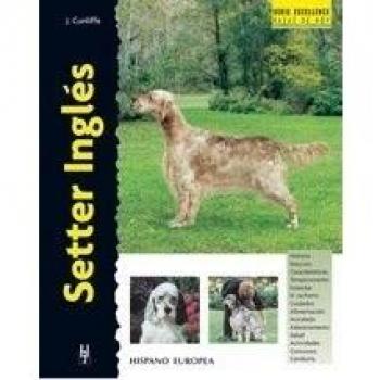 Setter Inglés