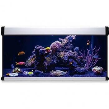 ICA KXM168B Kit Aqua Lux Pro 168 con Filtro Interior, Crema