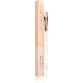 Basic Concealer Brush - 1 Piece Corrector & Concealer Applicator