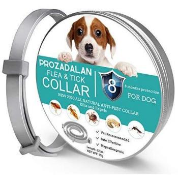 ProHomer Collar Antiparasitario para Mascotas Perros, Plagas Repelentes para Mascotas, Tamaño Ajustable e Impermeable, Mata a Los Huevos de Insectos