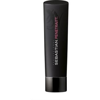 Shampoo Reparador y Alisador Sebastian Penetraitt 250ml