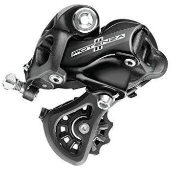 Campagnolo 11V Cambios, Gris, Talla Única
