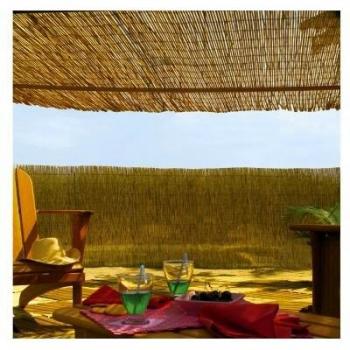 Intermas - INTERMAS - Brise vue en roseau 75% occultant 1 x 5 m REEDCANE